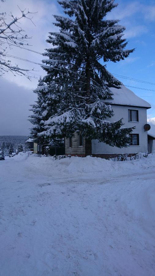 Апартаменти Haus Hasenmueller Шмідефельд-ам-Реннштайґ Екстер'єр фото